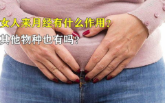 女人私密处痒怎么治,女性私密处瘙痒的应对与治疗策略