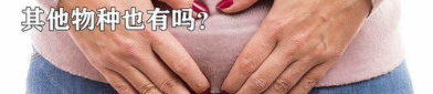 女人私密处痒怎么治,女性私密处瘙痒的应对与治疗策略