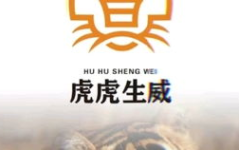 有高级感的网名ins风,精选高级感Ins风网名解析与应用