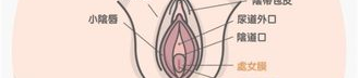 女人的隐私密部位无遮挡,女性隐私部位的神秘面纱