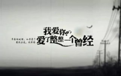 2023最精辟最火的句子,年度最精辟、最走心金句集锦