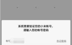 隐私密码怎么弄背景,揭秘隐私密码背后的背景生成奥秘