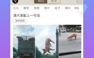内涵图片段子app,笑料百出，趣味无限的综合娱乐平台