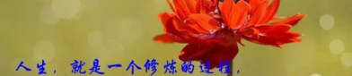 人生哲理的句子经典短句,启迪智慧，指引人生方向