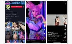 网红私密视频都有啥内容,尺度惊人，揭秘娱乐圈背后真相