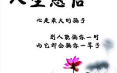 经典人生感悟,领悟生活的真谛与智慧